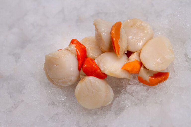Scallops, Roe On £32.00 per kilo available in 1 & 2k Tubs Deliver Fish
